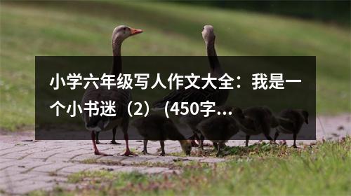 小學(xué)六年級寫人作文大全：我是一個小書迷（2） (450字)