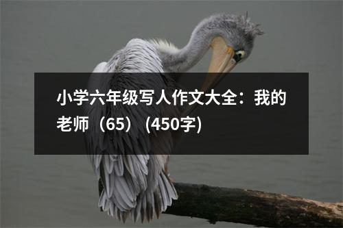 小學(xué)六年級(jí)寫人作文大全：我的老師（65） (450字)
