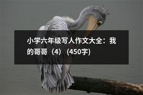 小學(xué)六年級(jí)寫(xiě)人作文大全：我的哥哥（4） (450字)