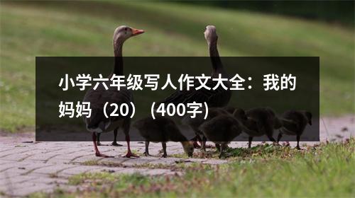 小學(xué)六年級(jí)寫人作文大全：我的媽媽（20） (400字)