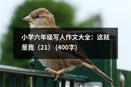 小學(xué)六年級寫人作文大全：這就是我（21） (400字)