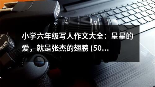 小學(xué)六年級寫人作文大全：星星的愛，就是張杰的翅膀 (500字)