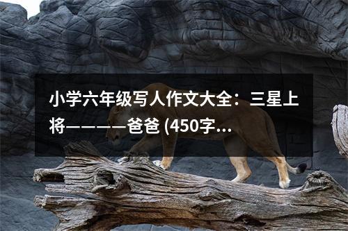 小學六年級寫人作文大全：三星上將————爸爸 (450字)