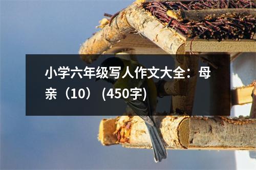 小學(xué)六年級(jí)寫人作文大全：母親（10） (450字)