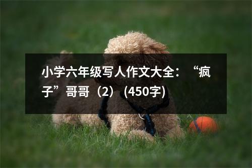 小學(xué)六年級(jí)寫(xiě)人作文大全：“瘋子”哥哥（2） (450字)