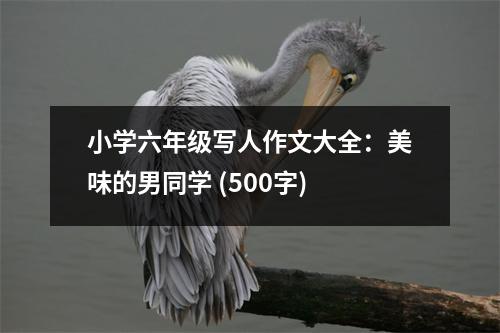 小學六年級寫人作文大全：美味的男同學 (500字)