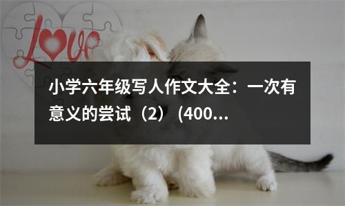 小學(xué)六年級(jí)寫(xiě)人作文大全：一次有意義的嘗試（2） (400字)