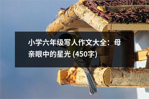小學(xué)六年級(jí)寫人作文大全：母親眼中的星光 (450字)