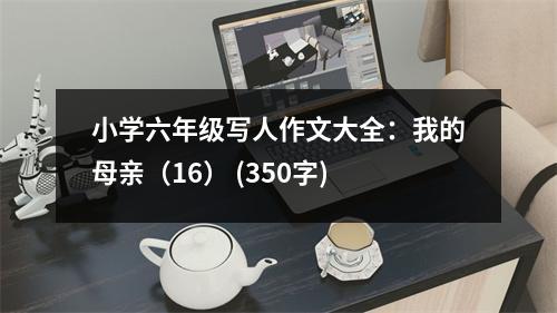 小學(xué)六年級(jí)寫人作文大全：我的母親（16） (350字)