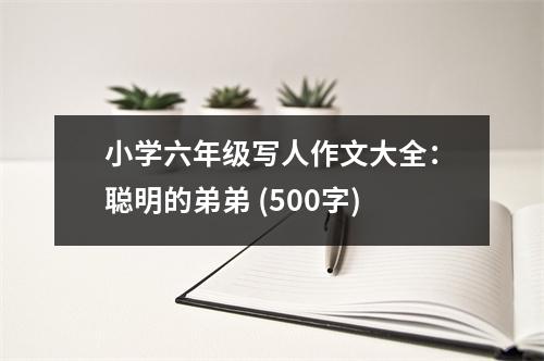 小學(xué)六年級寫人作文大全：聰明的弟弟 (500字)
