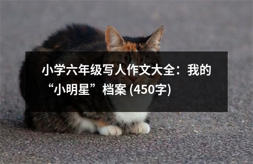 小學六年級寫人作文大全：我的“小明星”檔案 (450字)