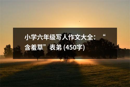 小學(xué)六年級寫人作文大全：“含羞草”表弟 (450字)