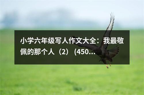 小學六年級寫人作文大全：我最敬佩的那個人（2） (450字)