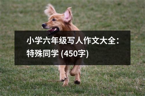 小學(xué)六年級寫人作文大全：特殊同學(xué) (450字)
