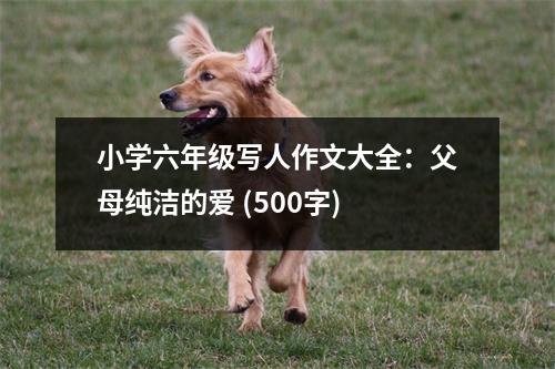 小學(xué)六年級寫人作文大全：父母純潔的愛 (500字)