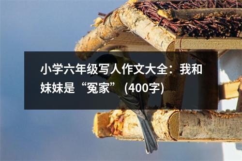 小學(xué)六年級寫人作文大全：我和妹妹是“冤家” (400字)
