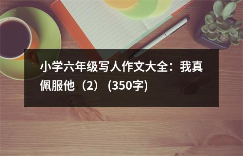 小學(xué)六年級(jí)寫(xiě)人作文大全：我真佩服他（2） (350字)