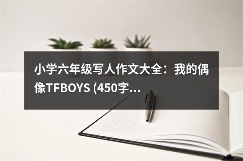 小學(xué)六年級(jí)寫人作文大全：我的偶像TFBOYS (450字)