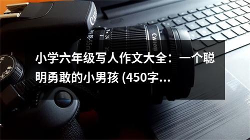 小學(xué)六年級寫人作文大全：一個聰明勇敢的小男孩 (450字)