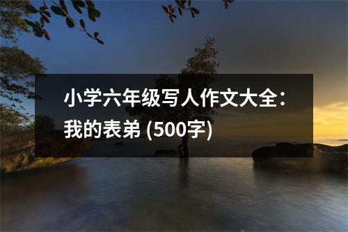 小學六年級寫人作文大全：我的表弟 (500字)