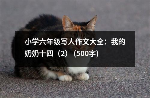 小學(xué)六年級寫人作文大全：我的奶奶十四（2） (500字)