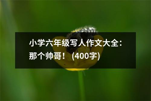 小學(xué)六年級寫人作文大全：那個帥哥！ (400字)
