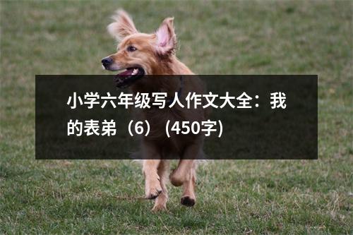 小學(xué)六年級寫人作文大全：我的表弟（6） (450字)
