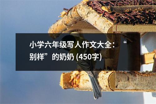 小學(xué)六年級(jí)寫人作文大全：“別樣”的奶奶 (450字)