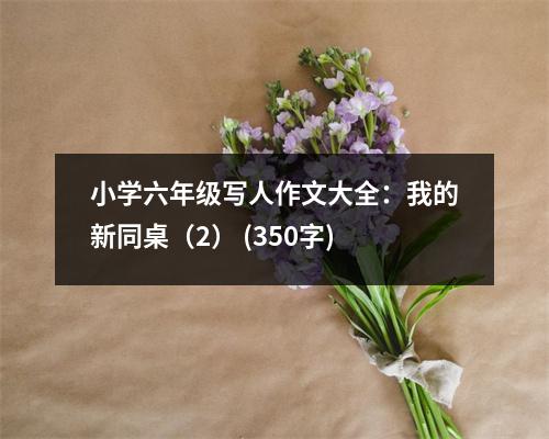 小學(xué)六年級(jí)寫人作文大全：我的新同桌（2） (350字)