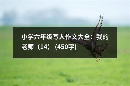 小學(xué)六年級(jí)寫人作文大全：我的老師（14） (450字)