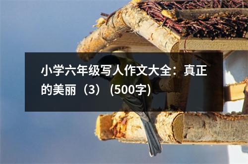 小學六年級寫人作文大全：真正的美麗（3） (500字)