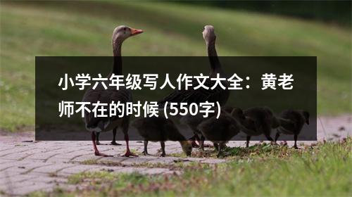 小學六年級寫人作文大全：黃老師不在的時候 (550字)