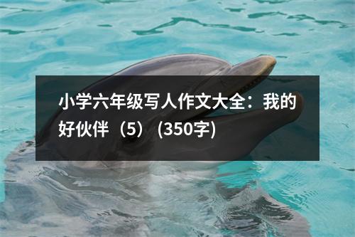 小學六年級寫人作文大全：我的好伙伴（5） (350字)