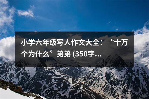 小學(xué)六年級寫人作文大全：“十萬個為什么”弟弟 (350字)