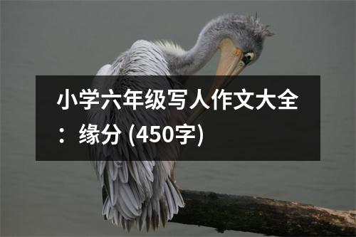 小學(xué)六年級寫人作文大全：緣分 (450字)