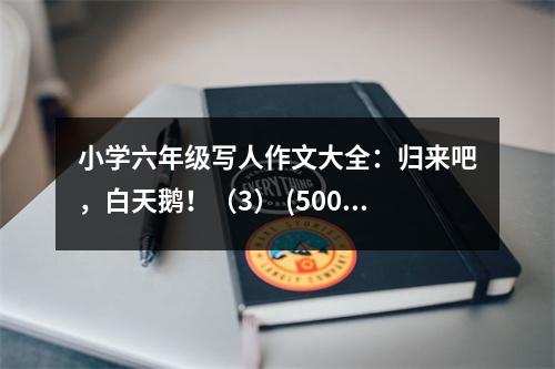 小學(xué)六年級(jí)寫人作文大全：歸來吧，白天鵝?。?） (500字)