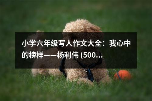 小學六年級寫人作文大全：我心中的榜樣——楊利偉 (500字)