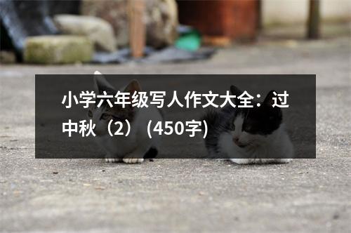 小學六年級寫人作文大全：過中秋（2） (450字)