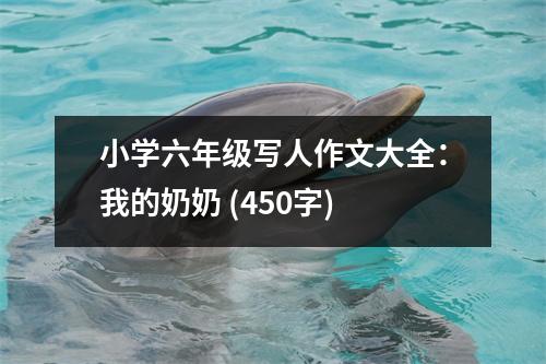 小學六年級寫人作文大全：我的奶奶 (450字)
