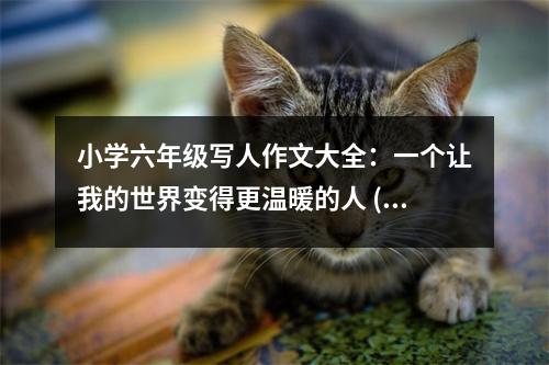 小學(xué)六年級寫人作文大全：一個讓我的世界變得更溫暖的人 (400字)