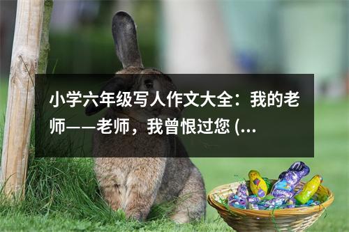 小學(xué)六年級寫人作文大全：我的老師——老師，我曾恨過您 (400字)