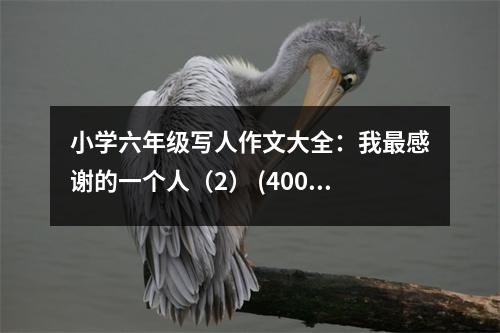 小學(xué)六年級寫人作文大全：我最感謝的一個人（2） (400字)