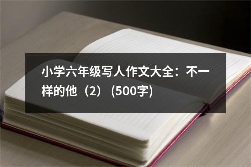 小學(xué)六年級(jí)寫人作文大全：不一樣的他（2） (500字)