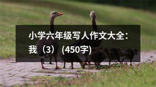 小學(xué)六年級寫人作文大全：我（3） (450字)