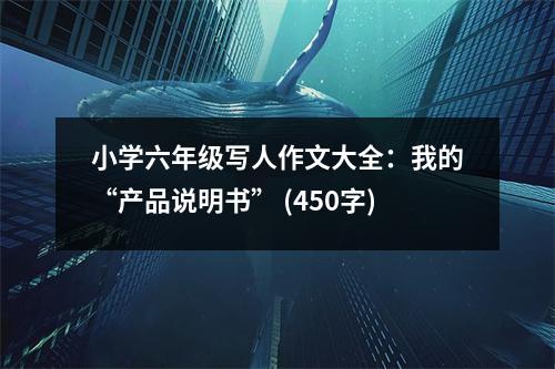 小學(xué)六年級寫人作文大全：我的“產(chǎn)品說明書” (450字)