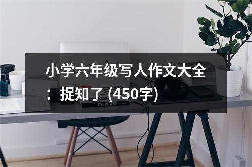 小學(xué)六年級(jí)寫人作文大全：捉知了 (450字)