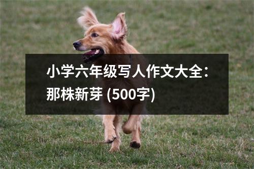 小學(xué)六年級寫人作文大全：那株新芽 (500字)