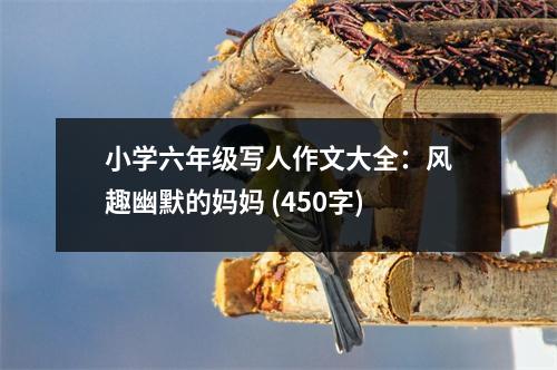 小學(xué)六年級(jí)寫人作文大全：風(fēng)趣幽默的媽媽 (450字)