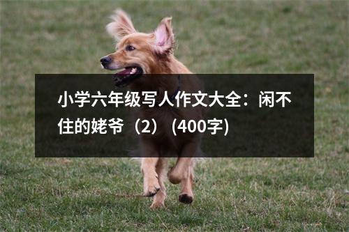 小學(xué)六年級(jí)寫(xiě)人作文大全：閑不住的姥爺（2） (400字)