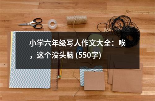 小學(xué)六年級寫人作文大全：唉，這個(gè)沒頭腦 (550字)